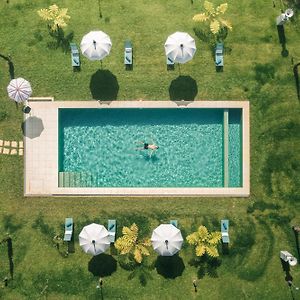 Villa Camelia Boutique House